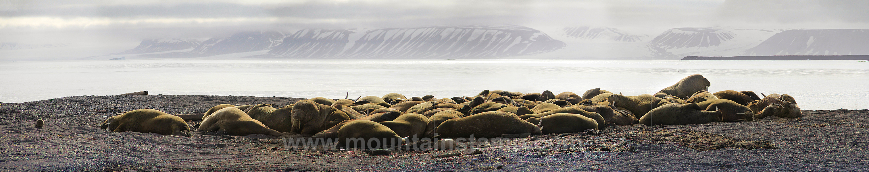 Spitsbergen panorama Hinlopen Strait